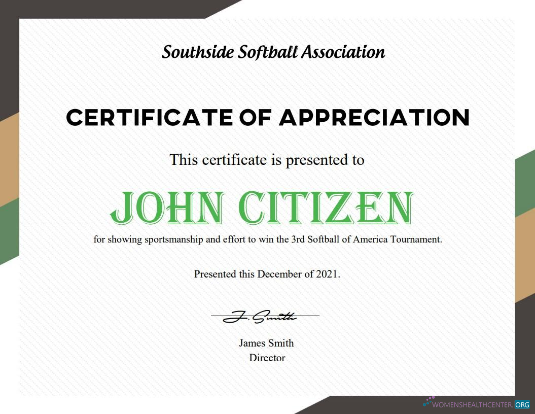 Download USA Softball certificate Photoshop template